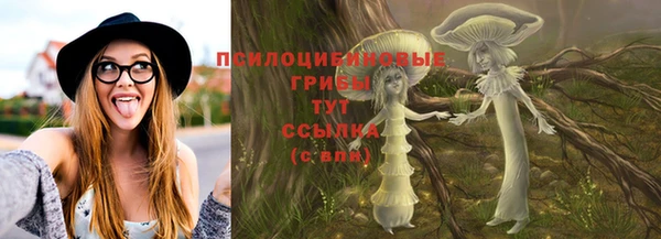 МДПВ Михайлов