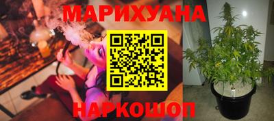 прущий лед Гай