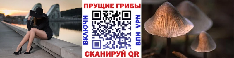 Галлюциногенные грибы мицелий  Кириши 