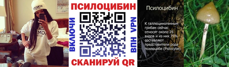 Псилоцибиновые грибы мухоморы Кириши
