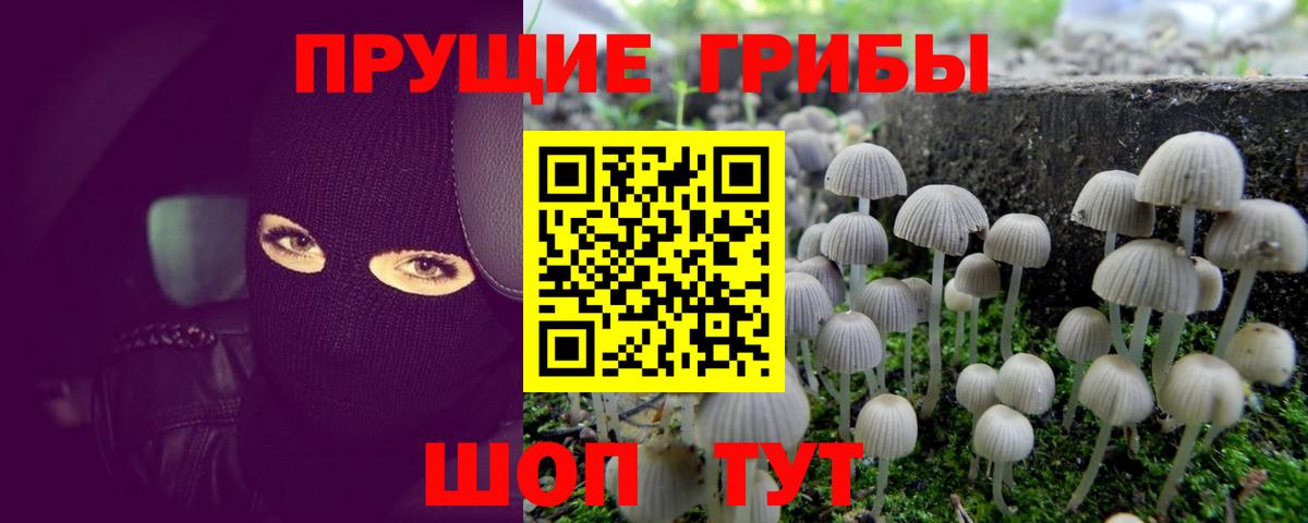 Галлюциногенные грибы ЛСД  наркота  Кириши  Вход с VPN 